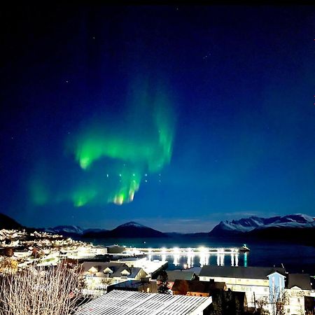 Aurora Dream Διαμέρισμα Skjervoy Εξωτερικό φωτογραφία